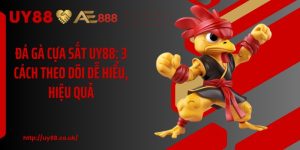 Đá Gà Cựa Sắt UY88: 3 Cách Theo Dõi Dễ Hiểu, Hiệu Quả 