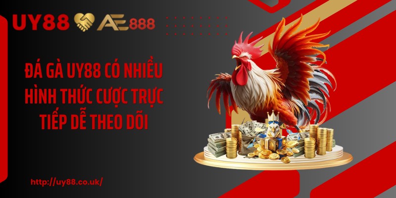 Đá gà UY88 có nhiều hình thức cược trực tiếp dễ theo dõi