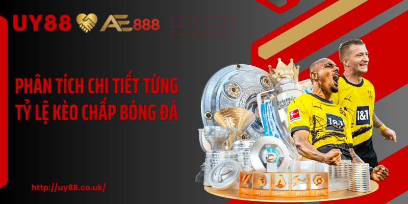 Phân tích chi tiết từng tỷ lệ kèo chấp bóng đá